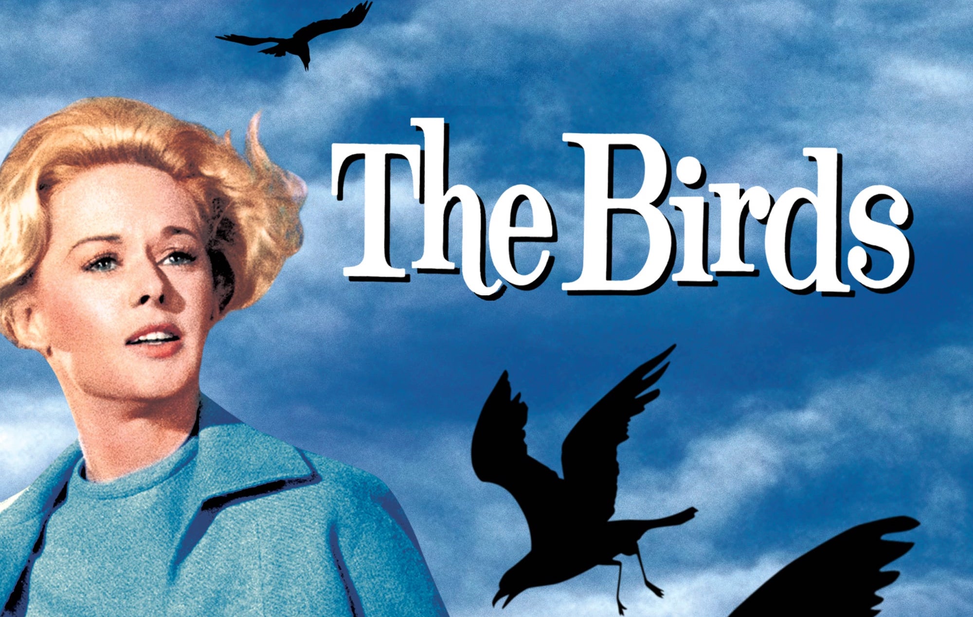 The Birds (1963) - Grave Reviews - Horror Movie Reviews